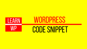 WordPress Code Snippet Access