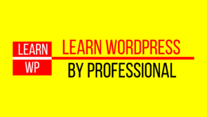 WordPress Learning by Professional