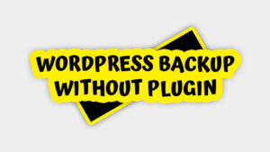 WordPress Backup Without Plugin : A Step-by-Step Guide