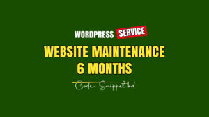 Website Maintenance 6 months